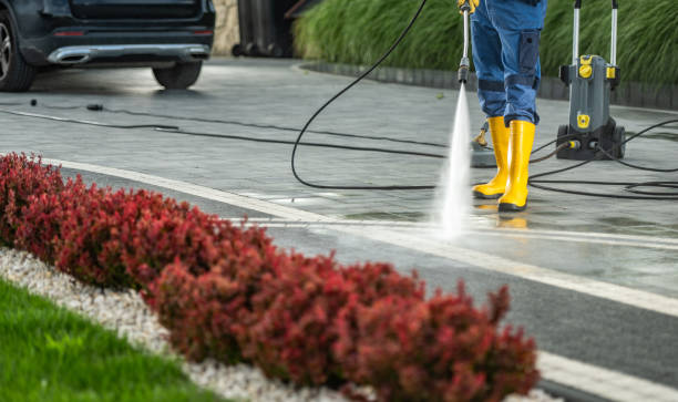 Best Local Pressure Washing Services  in Marion, IL